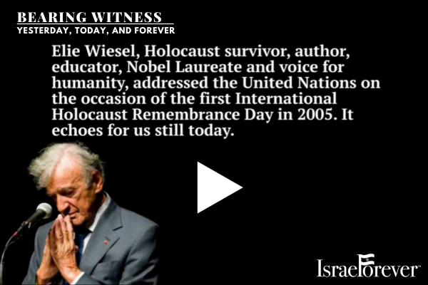 Watch the Bearing Witness: Yesterday, Today, and Forever video