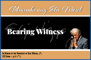 Bearing Witness Webinar