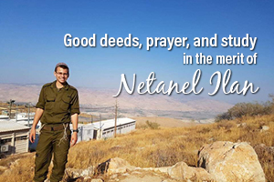 Good Deeds, Prayer and Study for the Merit and healing of Netanel