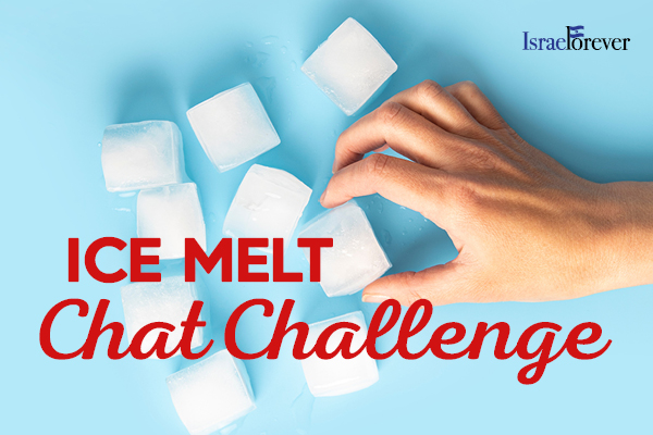 Ice Melt Chat Challenge
