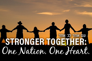 Stronger Together: Jewish Unity Initiative